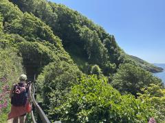 First non-urban bits - leaving Plymouth behind